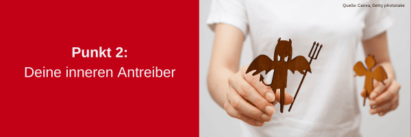 26 Shared Leadership Hürden