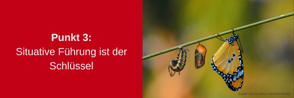27 Shared Leadership Hürden