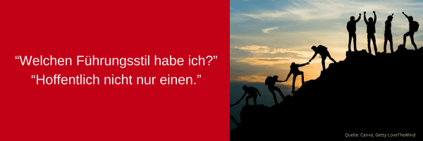 28 Shared Leadership Hürden